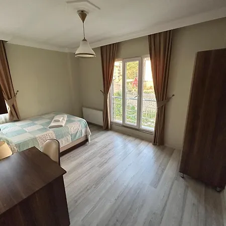 Borahan 4*
